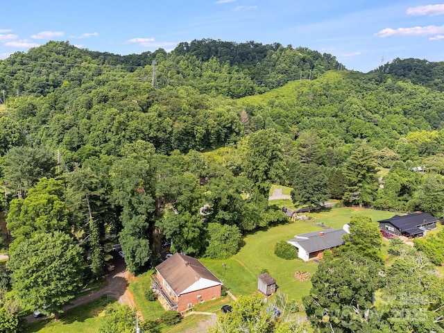 29 Winterberry Dr, Cullowhee, NC 28723 - photo 29