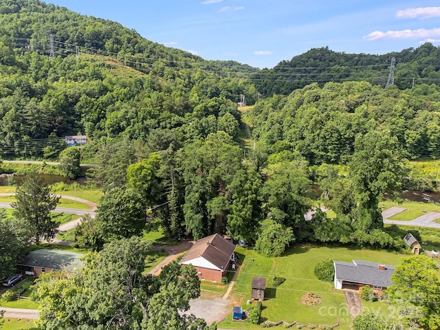 29 Winterberry Dr, Cullowhee, NC 28723 - photo 30