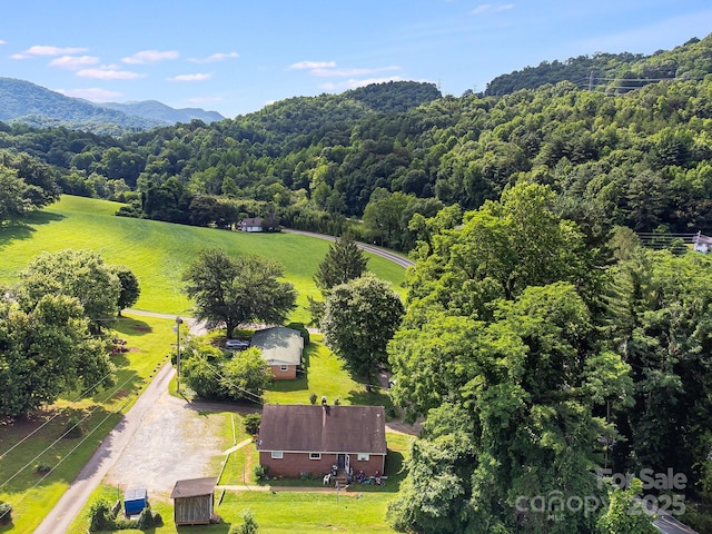 29 Winterberry Dr, Cullowhee, NC 28723 - photo 32