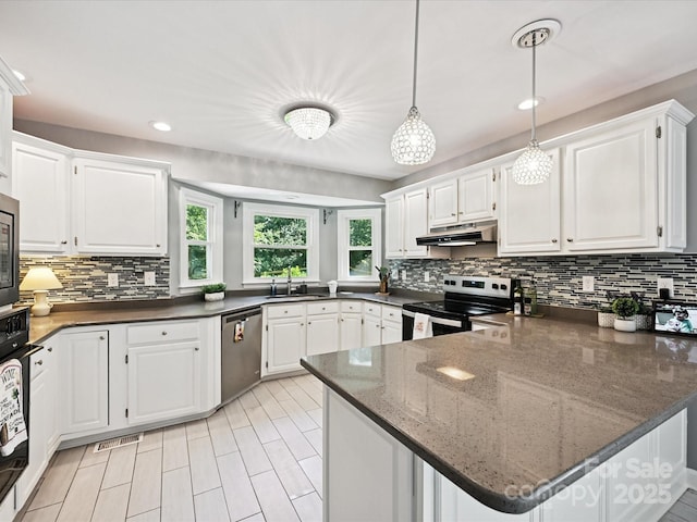 14019 Fountain Ln, Charlotte, NC 28278 - kitchen with stainless steel appliances, under cabinet range hood, a peninsula, decorative backsplash, and white cabinetry