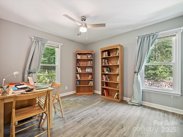 14019 Fountain Ln, Charlotte, NC 28278 - office space with light wood-style flooring and ceiling fan