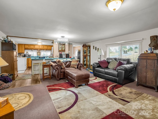 55 Settlers Trl, Mars Hill, NC 28754 - photo 13