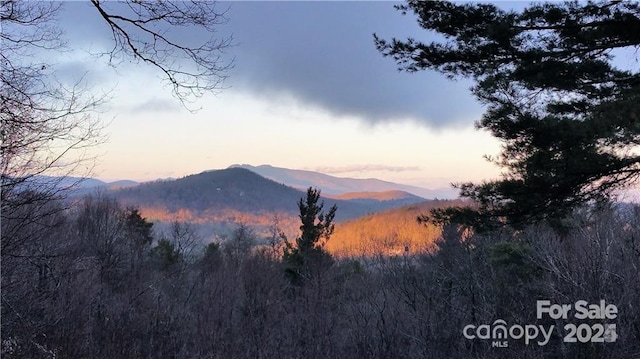 7109 Grandview Ext, Newland, NC 28657 - photo 2