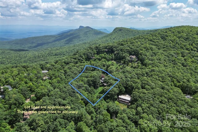7109 Grandview Ext, Newland, NC 28657 - photo 5