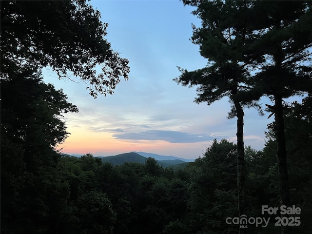 7109 Grandview Ext, Newland, NC 28657 - photo 24