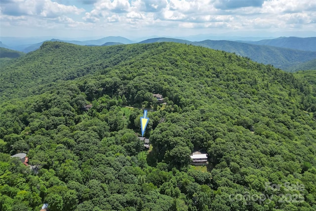 7109 Grandview Ext, Newland, NC 28657 - photo 38