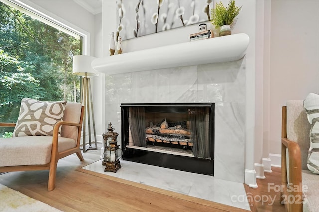 7109 Forney Hill Rd, Denver, NC 28037 - detailed view of a fireplace, wood finished floors, and ornamental molding