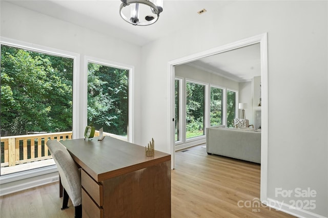 7109 Forney Hill Rd, Denver, NC 28037 - dining room with healthy amount of natural light, a chandelier, and light wood-type flooring