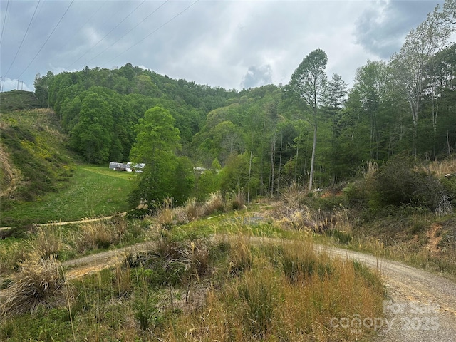 00 Mcpeters Ln, Burnsville, NC 28714 - photo 3