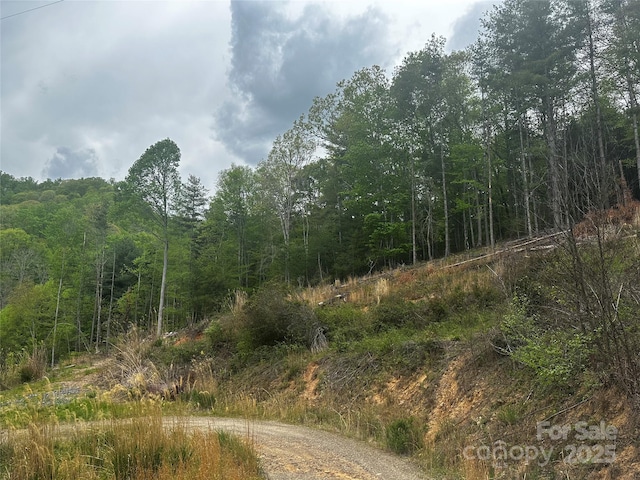 00 Mcpeters Ln, Burnsville, NC 28714 - photo 6