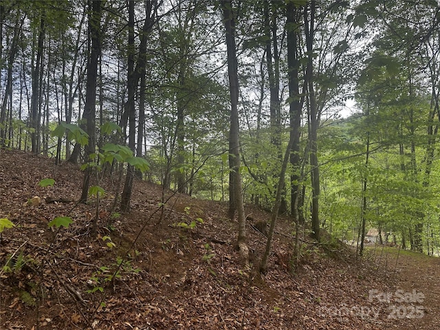 00 Mcpeters Ln, Burnsville, NC 28714 - photo 8