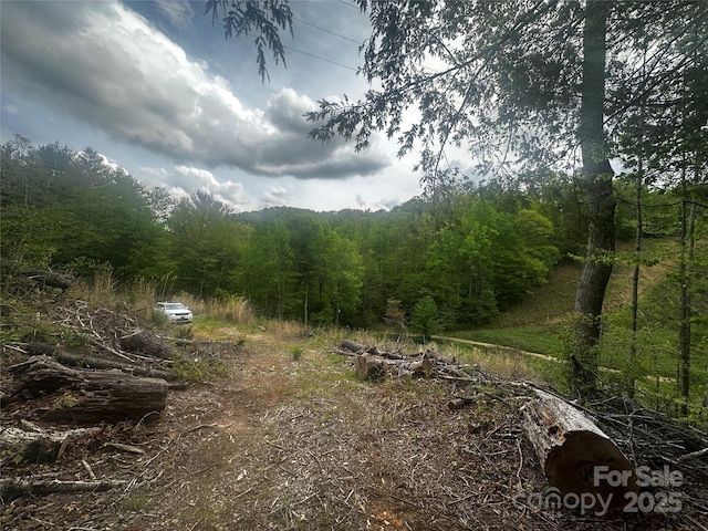00 Mcpeters Ln, Burnsville, NC 28714 - photo 13