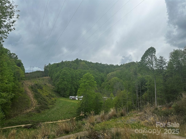 00 Mcpeters Ln, Burnsville, NC 28714 - photo 17