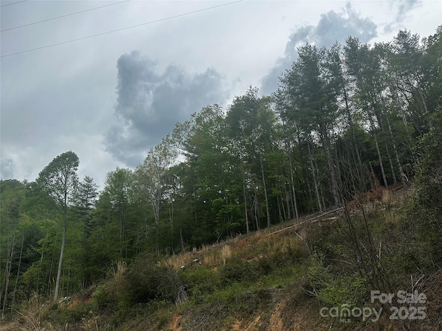00 Mcpeters Ln, Burnsville, NC 28714 - photo 18