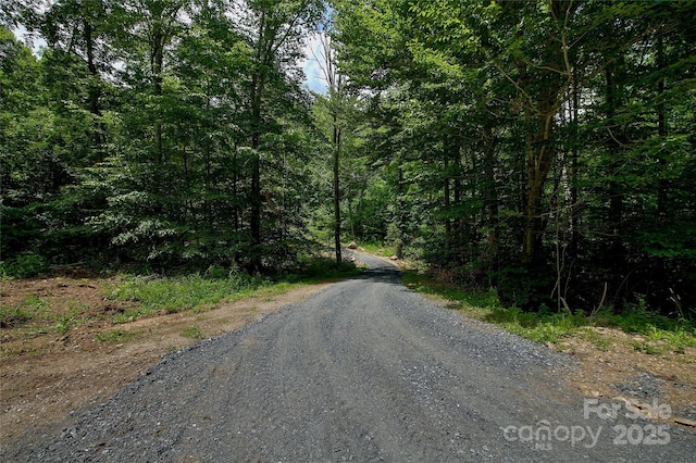 000 Shadowwood Dr, Spruce Pine, NC 28777 - photo 9