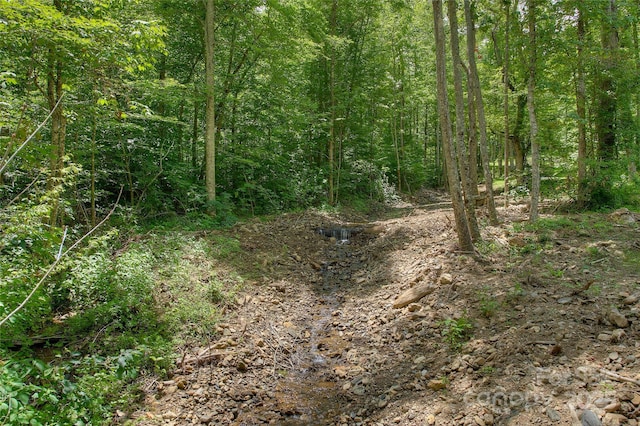 000 Shadowwood Dr, Spruce Pine, NC 28777 - photo 10