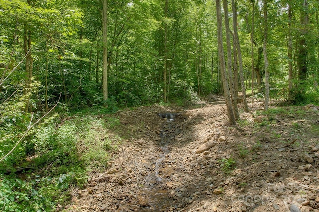 000 Shadowwood Dr, Spruce Pine, NC 28777 - photo 11