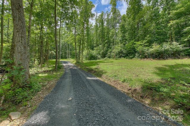 000 Shadowwood Dr, Spruce Pine, NC 28777 - photo 12