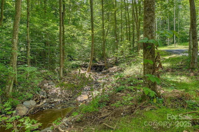 000 Shadowwood Dr, Spruce Pine, NC 28777 - photo 13