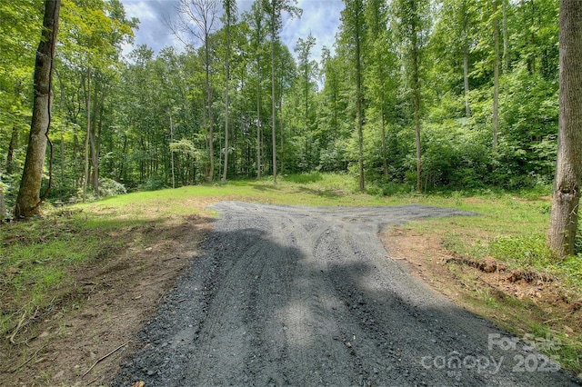 000 Shadowwood Dr, Spruce Pine, NC 28777 - photo 14