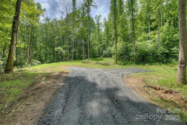 000 Shadowwood Dr, Spruce Pine, NC 28777 - photo 15