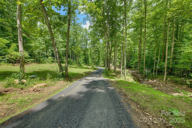 000 Shadowwood Dr, Spruce Pine, NC 28777 - photo 16