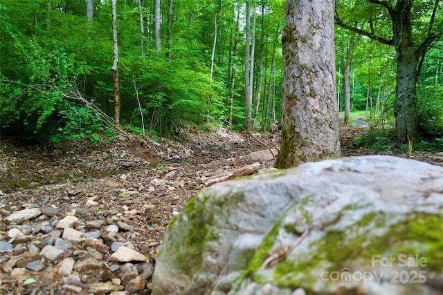 000 Shadowwood Dr, Spruce Pine, NC 28777 - photo 2