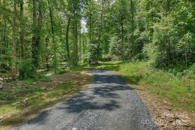 000 Shadowwood Dr, Spruce Pine, NC 28777 - photo 3