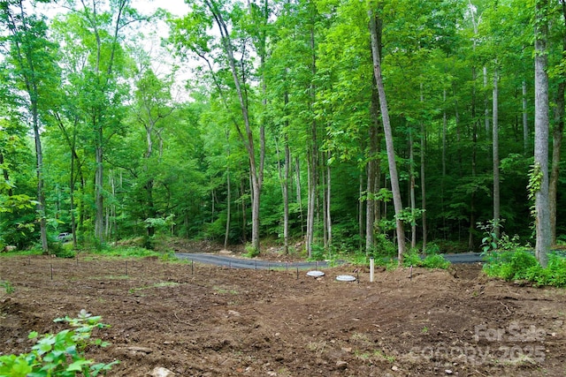 000 Shadowwood Dr, Spruce Pine, NC 28777 - photo 5