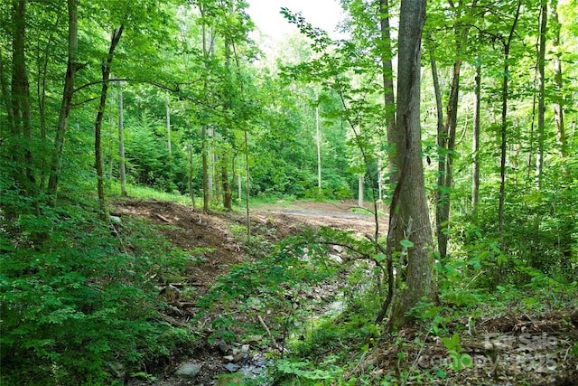 000 Shadowwood Dr, Spruce Pine, NC 28777 - photo 6