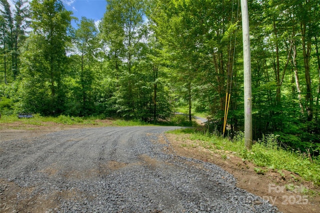 000 Shadowwood Dr, Spruce Pine, NC 28777 - photo 8