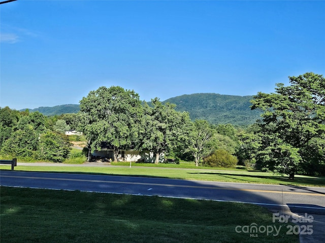 1982 Conley Rd, Morganton, NC 28655 - view of mountain background