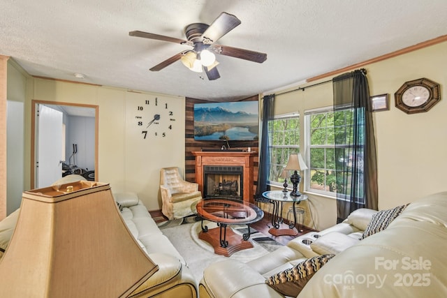 44 Bachelder Ln, Candler, NC 28715 - photo 5