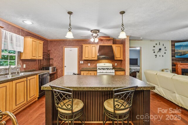 44 Bachelder Ln, Candler, NC 28715 - photo 10