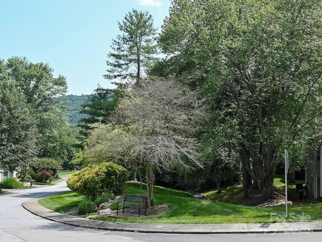 621 E Park Pl, Hendersonville, NC 28791 - view of property's community featuring a yard
