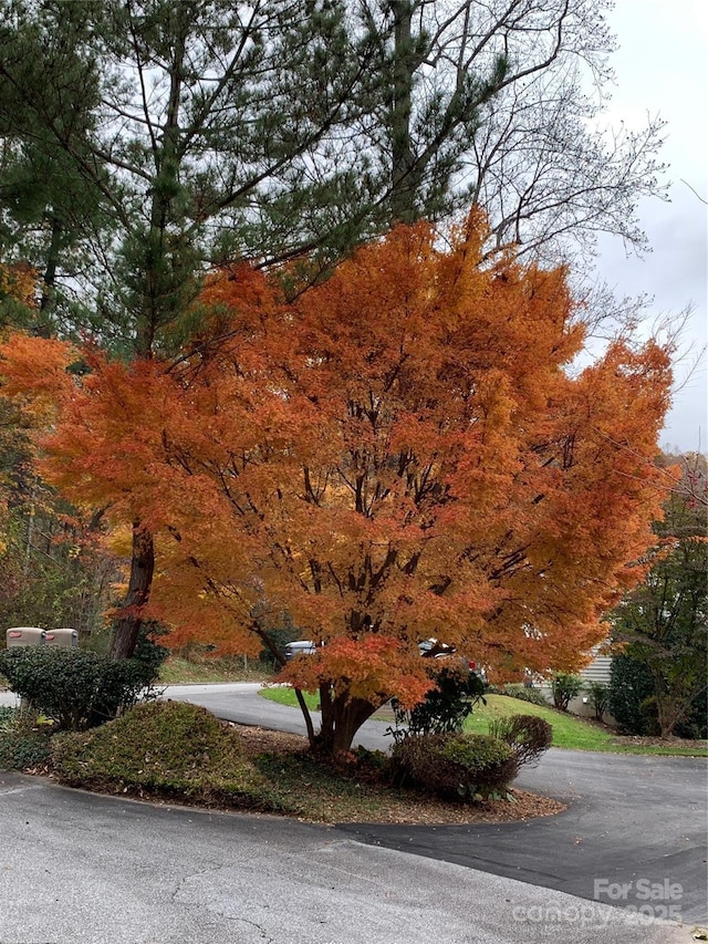 621 E Park Pl, Hendersonville, NC 28791 - view of asphalt road