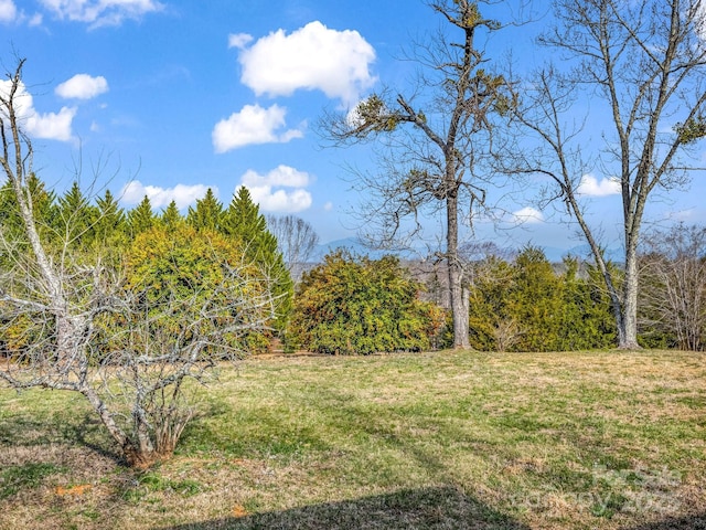 6 Rachel Bell Rd, Mill Spring, NC 28756 - photo 3