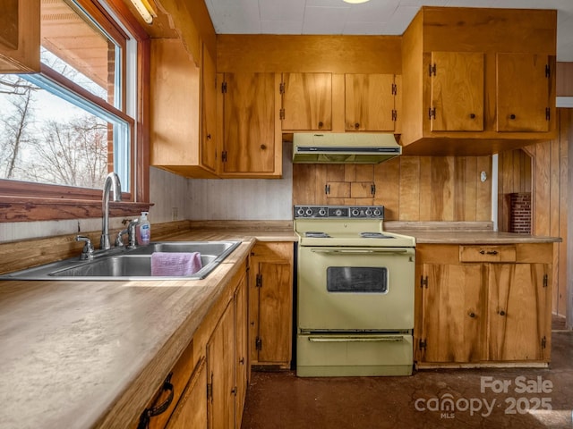 6 Rachel Bell Rd, Mill Spring, NC 28756 - photo 10