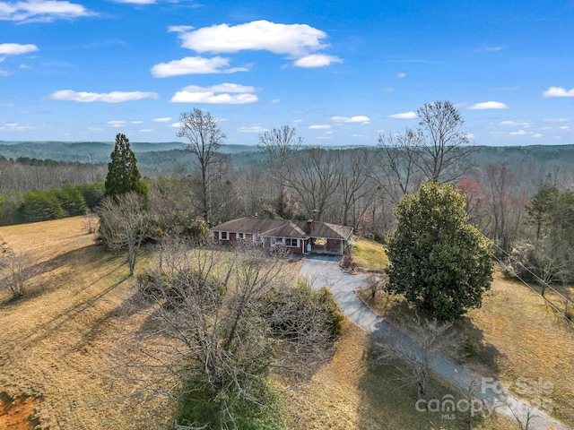 6 Rachel Bell Rd, Mill Spring, NC 28756 - photo 27