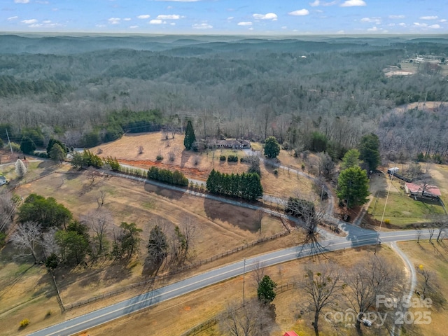 6 Rachel Bell Rd, Mill Spring, NC 28756 - photo 29