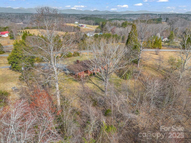6 Rachel Bell Rd, Mill Spring, NC 28756 - photo 30