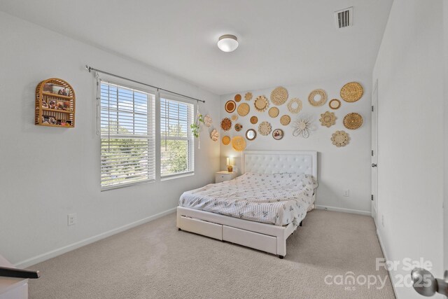 2301 Amesbury Ct, Albemarle, NC 28001 - photo 29