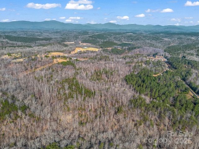 00 Rachel Bell Rd, Mill Spring, NC 28756 - photo 1