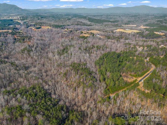 00 Rachel Bell Rd, Mill Spring, NC 28756 - photo 2