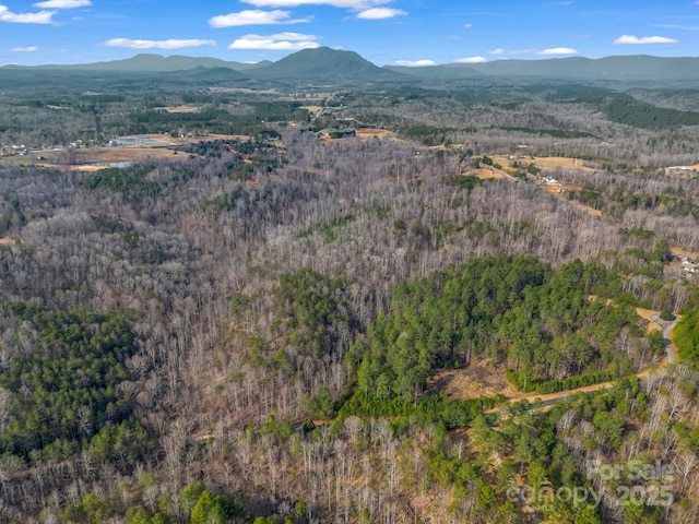 00 Rachel Bell Rd, Mill Spring, NC 28756 - photo 3