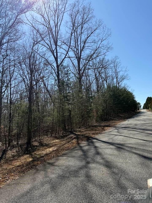00 Rachel Bell Rd, Mill Spring, NC 28756 - photo 4