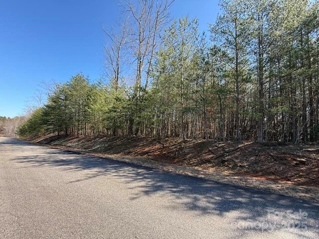 00 Rachel Bell Rd, Mill Spring, NC 28756 - photo 5