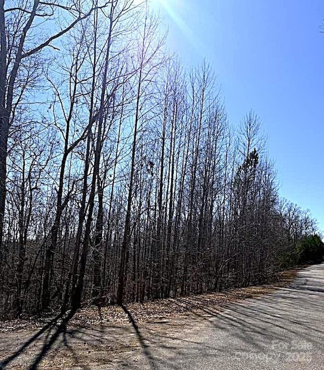 00 Rachel Bell Rd, Mill Spring, NC 28756 - photo 6