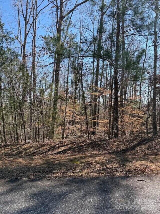00 Rachel Bell Rd, Mill Spring, NC 28756 - photo 10