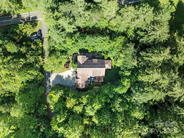 102 Gap Creek Rd, Fletcher, NC 28732 - aerial view of property's location